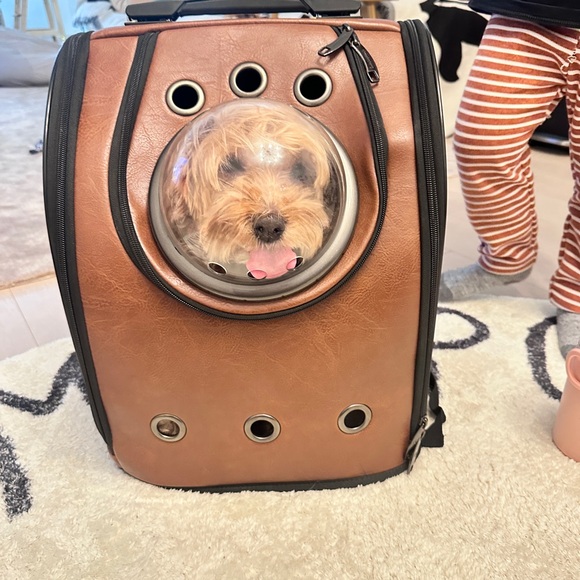 Stylish Space Capsule Pet Carrier Backpack